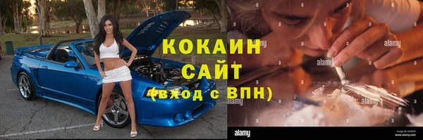 винт Липки