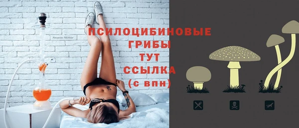 молекула духа Лихославль