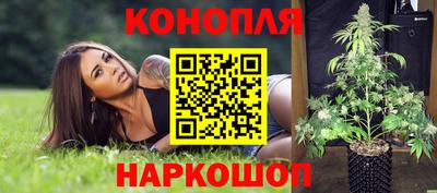 PSILOCYBIN Гусиноозёрск