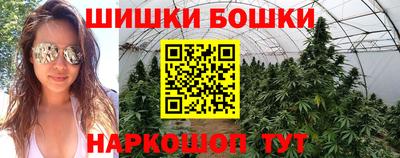 PSILOCYBIN Гусиноозёрск