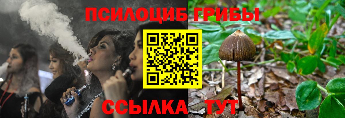 Галлюциногенные грибы MAGIC MUSHROOMS  Вход с VPN  Псилоцибиновые грибы ЛСД  Нижний Новгород 