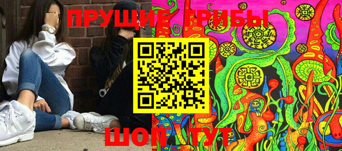 Псилоцибиновые грибы MAGIC MUSHROOMS Нижний Новгород